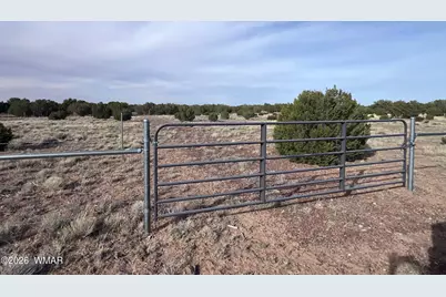 Lot 93 N8492, Concho, AZ 85924 - Photo 8