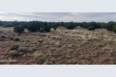 Lot 93 N8492, Concho, AZ 85924 - Photo 32