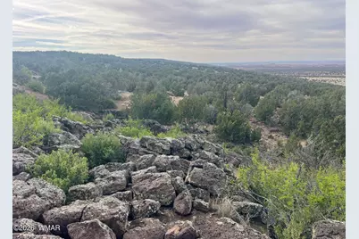 Lot 93 N8492, Concho, AZ 85924 - Photo 20