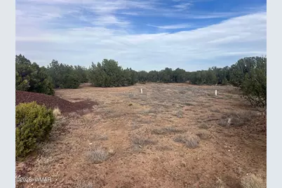 Lot 93 N8492, Concho, AZ 85924 - Photo 6