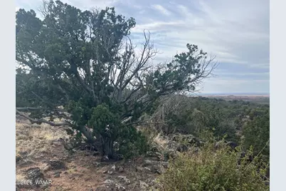 Lot 93 N8492, Concho, AZ 85924 - Photo 38