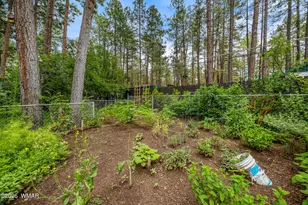 417 W Springtime Dr, Lakeside, AZ 85929 - Photo 44