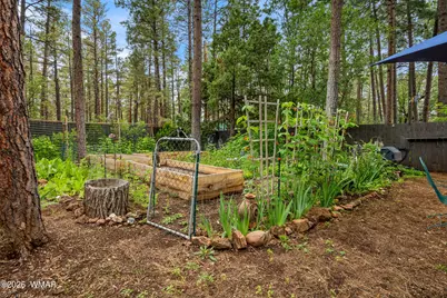 417 W Springtime Drive, Lakeside, AZ 85929 - Photo 46