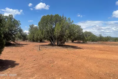 4934 Elk Trail Road, Clay Springs, AZ 85923 - Photo 6