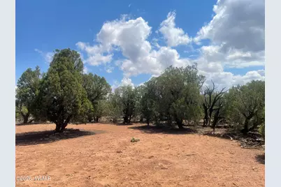4934 Elk Trail Road, Clay Springs, AZ 85923 - Photo 16