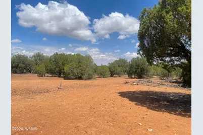 4934 Elk Trail Road, Clay Springs, AZ 85923 - Photo 8