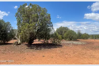 4934 Elk Trail Road, Clay Springs, AZ 85923 - Photo 14