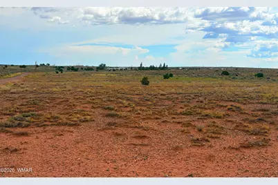8368 Charolais, Snowflake, AZ 85937 - Photo 44