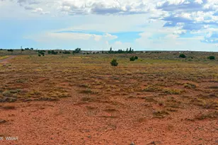 8368 Charolais, Snowflake, AZ 85937 - Photo 44