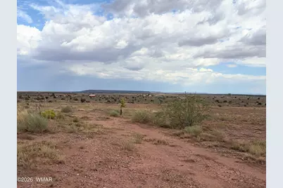 8368 Charolais, Snowflake, AZ 85937 - Photo 42