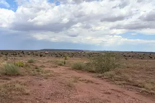 8368 Charolais, Snowflake, AZ 85937 - Photo 42