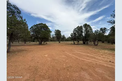 3048 Chevelon Road, Overgaard, AZ 85933 - Photo 4