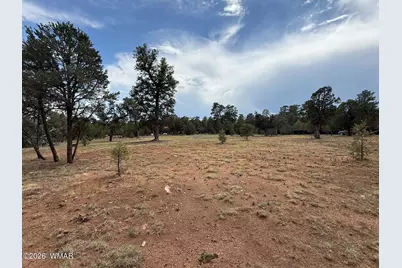 3048 Chevelon Road, Overgaard, AZ 85933 - Photo 2