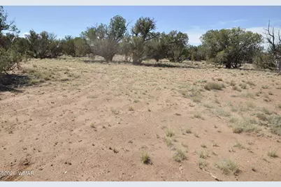 19C &amp; D County Rd N9033, Concho, AZ 85924 - Photo 12