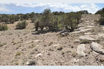 19C &amp; D County Rd N9033, Concho, AZ 85924 - Photo 18