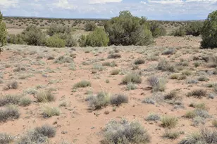 19C &amp D County Rd N9033, Concho, AZ 85924 - Photo 1