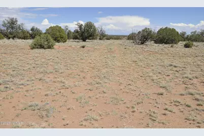 19C &amp; D County Rd N9033, Concho, AZ 85924 - Photo 6