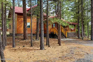 38703 Arizona 373, Greer, AZ 85927 - Photo 4