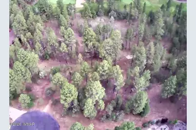 4161 W Wild Iris Lane, Show Low, AZ 85901 - Photo 2