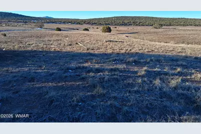 92 County Road 8223 Road, Concho, AZ 85924 - Photo 1