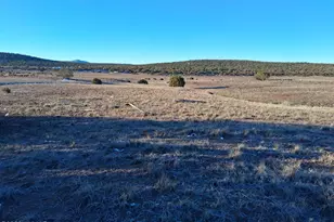 92 County Road 8223 Rd, Concho, AZ 85924 - Photo 1