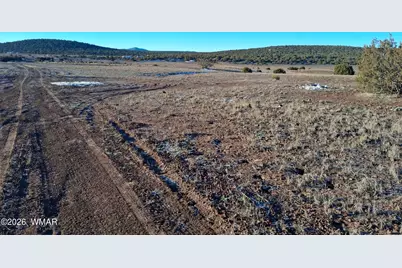 92 County Road 8223 Road, Concho, AZ 85924 - Photo 2