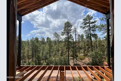 7384 Carina Lane, Lakeside, AZ 85929 - Photo 2
