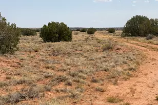 Lot 562 Chevelon Canyon Ranch Dr Unit 4, Heber, AZ 85928 - Photo 1