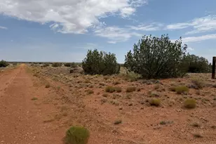 Lot 562 Chevelon Canyon Ranch Dr Unit 4, Heber, AZ 85928 - Photo 1