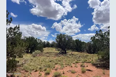 4289 Colt Road, Snowflake, AZ 85937 - Photo 6