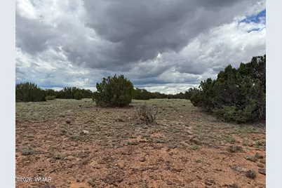 8 County Road 8080, Concho, AZ 85924 - Photo 6