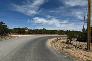 8 County Road 8080, Concho, AZ 85924 - Photo 1