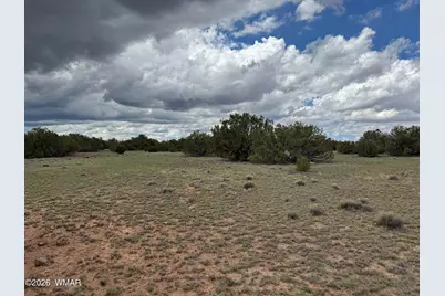 8 County Road 8080, Concho, AZ 85924 - Photo 2