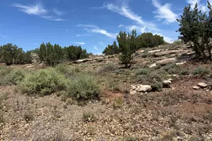 442 W Rodeo Rd, Snowflake, AZ 85937 - Photo 36