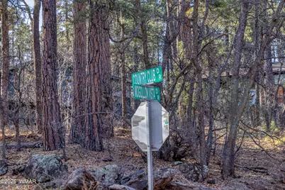 3795 Mogollon Vista Drive, Pinetop, AZ 85935 - Photo 12