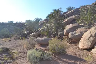 4261 El Dorado Rd, Snowflake, AZ 85937 - Photo 38