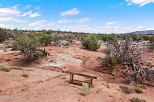 4261 El Dorado Rd, Snowflake, AZ 85937 - Photo 26