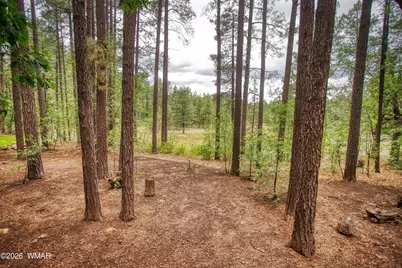2478 Sunflower Drive, Pinetop, AZ 85935 - Photo 4
