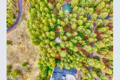 2478 Sunflower Drive, Pinetop, AZ 85935 - Photo 1