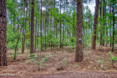 2478 Sunflower Drive, Pinetop, AZ 85935 - Photo 8