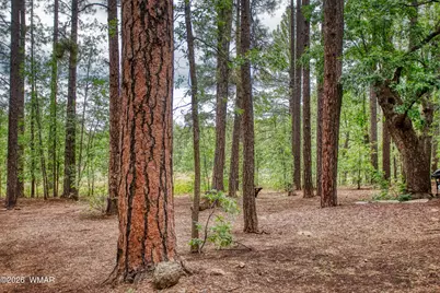2478 Sunflower Drive, Pinetop, AZ 85935 - Photo 6