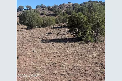478 N8521, Concho, AZ 85924 - Photo 2