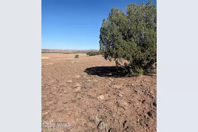 478 N8521, Concho, AZ 85924 - Photo 4