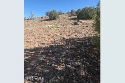 478 N8521, Concho, AZ 85924 - Photo 8