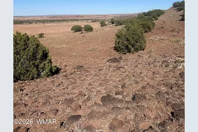 478 N8521, Concho, AZ 85924 - Photo 6