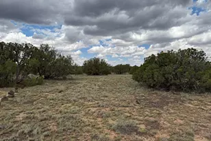 214 Cr 8051, Concho, AZ 85924 - Photo 1