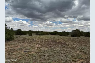 214 Cr 8051, Concho, AZ 85924 - Photo 6