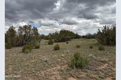 214 Cr 8051, Concho, AZ 85924 - Photo 2