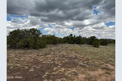 214 Cr 8051, Concho, AZ 85924 - Photo 4