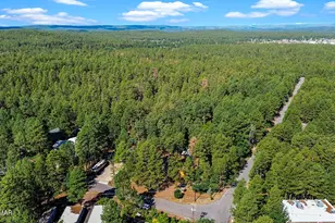 790 S Juniper Ln, Pinetop, AZ 85935 - Photo 78